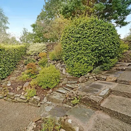 Field * آمبيلسايد